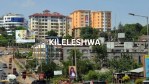 Read more about the article How We Bought A 6M Apartment In Kileleshwa On A Budget