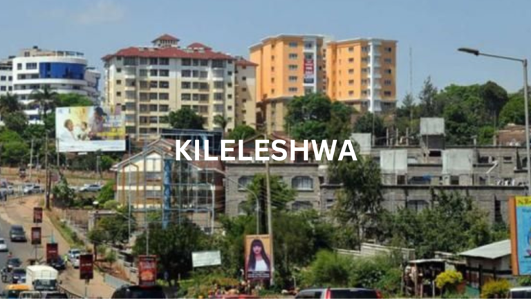 How We Bought A 6M Apartment In Kileleshwa On A Budget