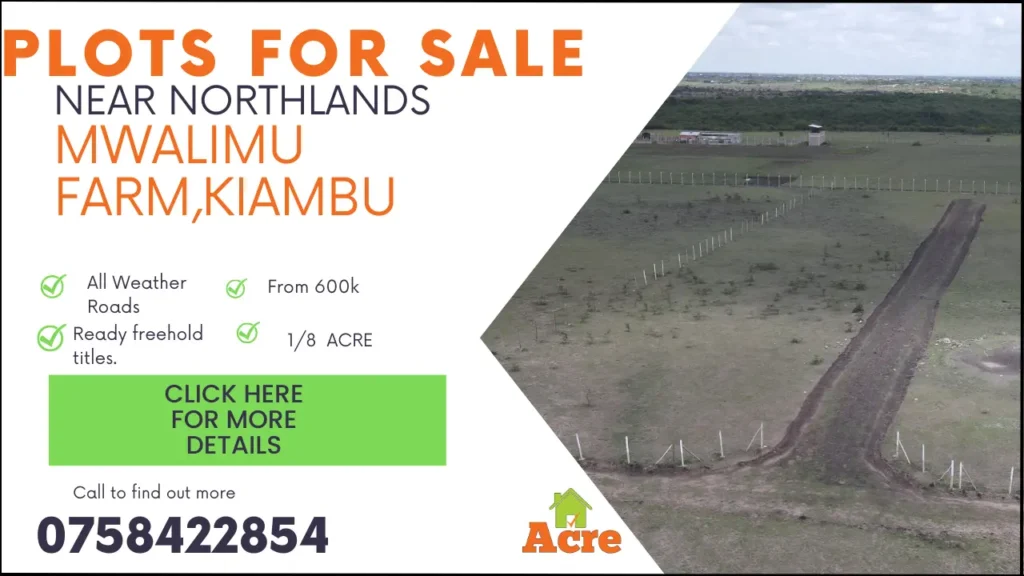 Plots For Sale Mwalimu Farm